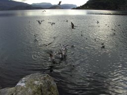 Norwegen 2008 Rundereim
